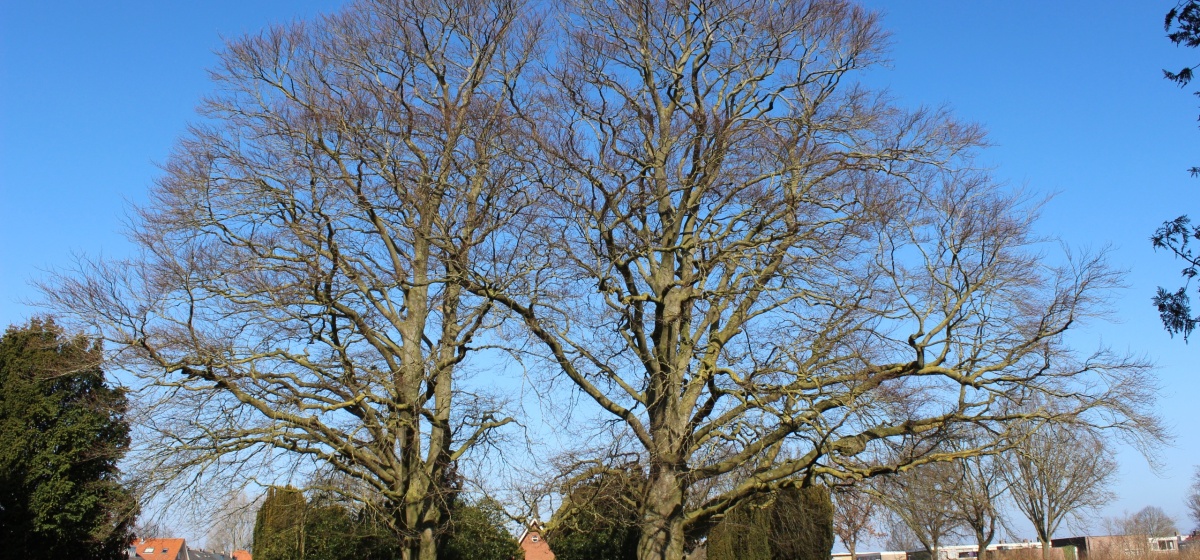 Zwartewaterlandinzicht.nl