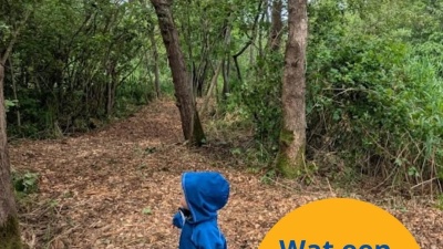 Zwartewaterlandinzicht.nl