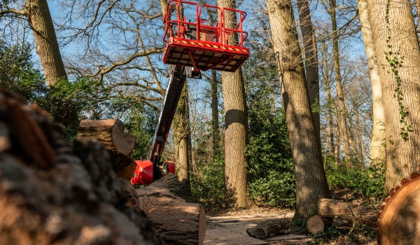 Zwartewaterlandinzicht.nl