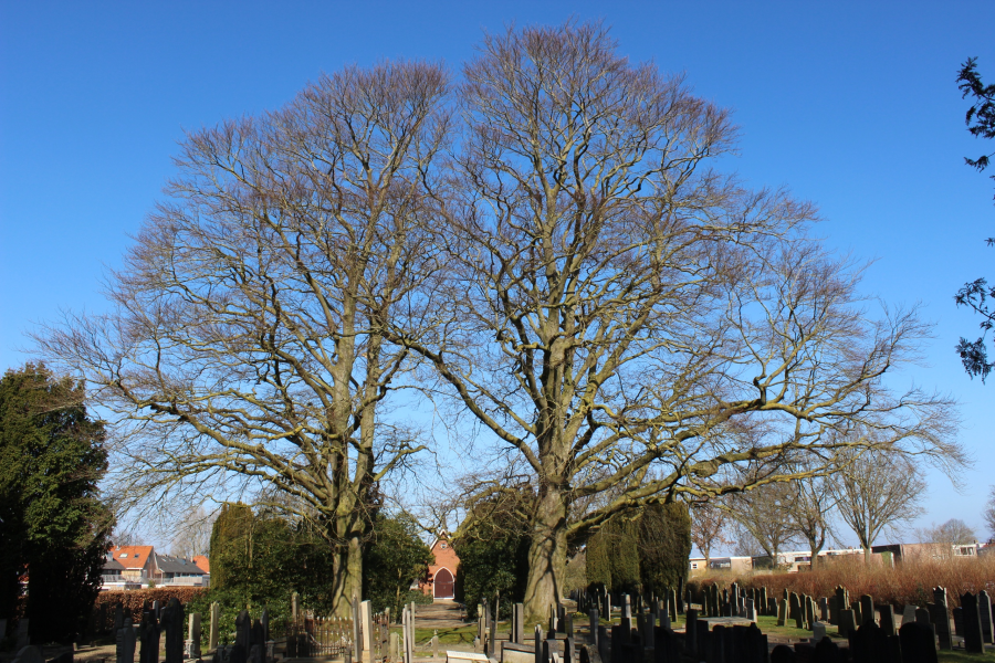 Zwartewaterlandinzicht.nl